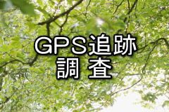 GPSǐՒ